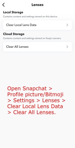 Borrar datos de lentes Snapchat