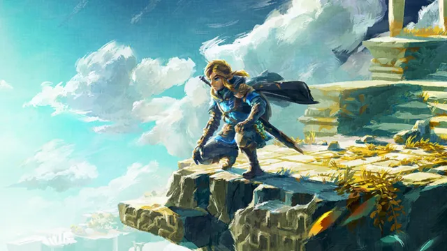 Enlace con vistas a Hyrule en Zelda: Tears of the Kingdom.