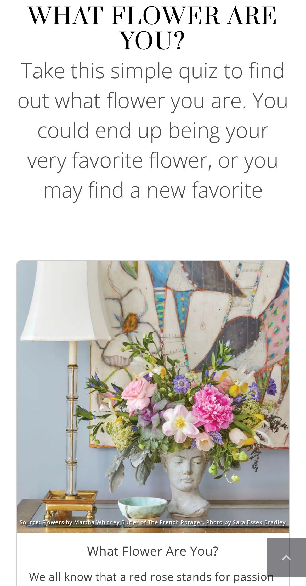 ¿Qué flor eres?