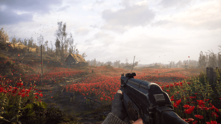 Comment completer les champs de coquelicots dans Stalker 2