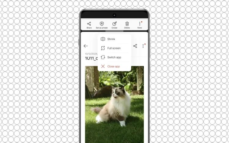 Comment utiliser Open Canvas sur les telephones OnePlus.webp