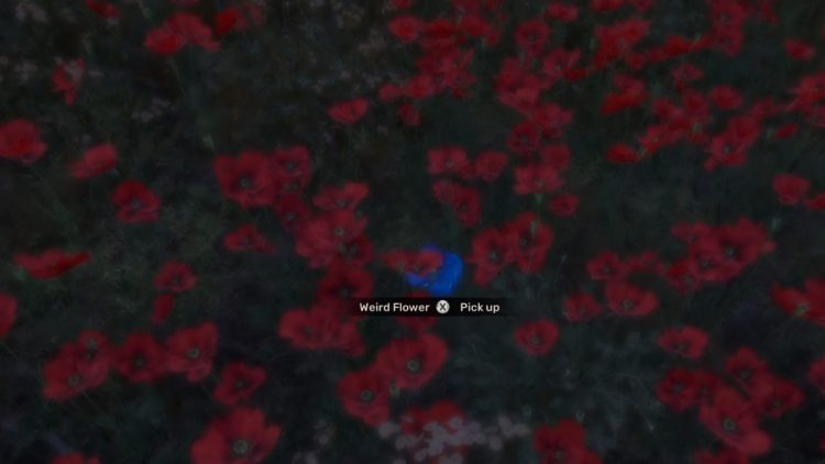 Que fait la fleur etrange dans Stalker 2
