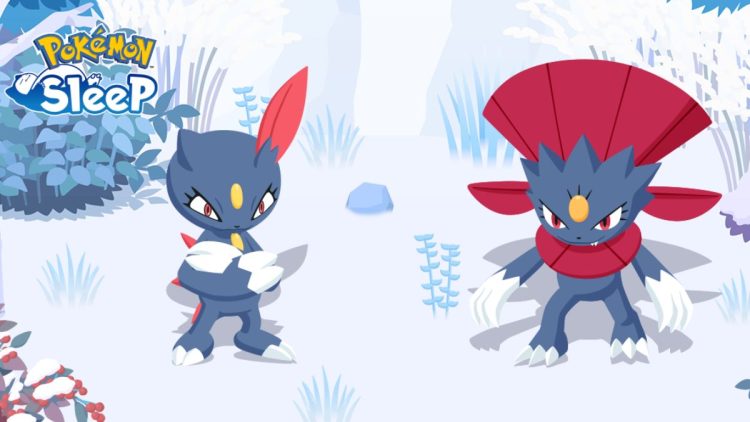 Comment obtenir Sneasel et Weavile dans Pokemon Sleep