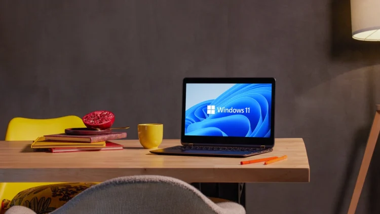 Support for Windows 11 multi application camera how to activate and.webp