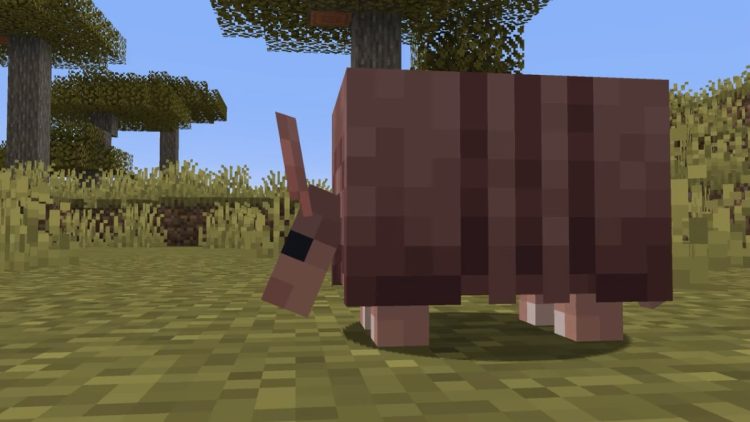 Comment obtenir des eclats de tatou dans Minecraft
