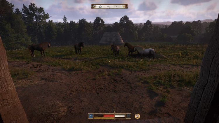 Devriez vous utiliser des cailloux ou du hareng dans le royaume
