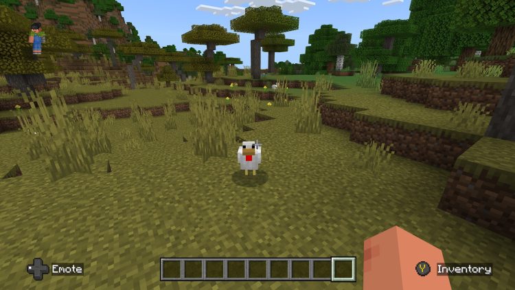 Ou trouver les 3 variantes de poulet Minecraft