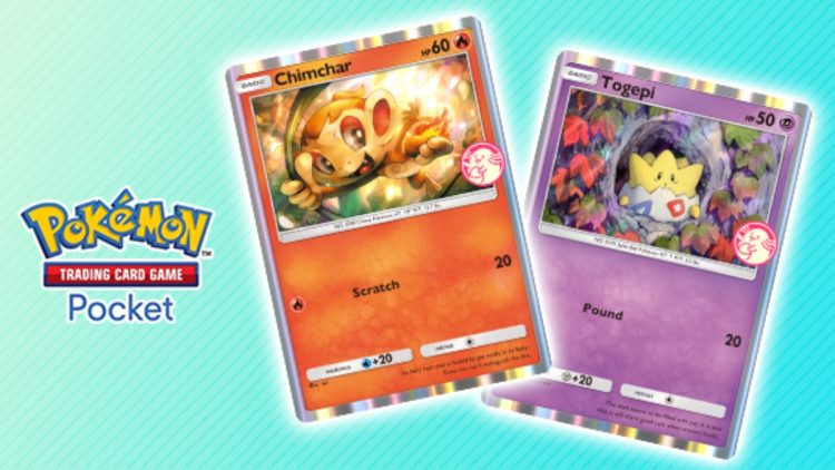 POCKE POKEMON TCG Date de choix heure et cartes