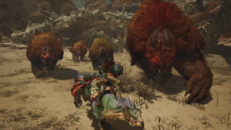 Tous les bonus et editions de precommande pour Monster Hunter