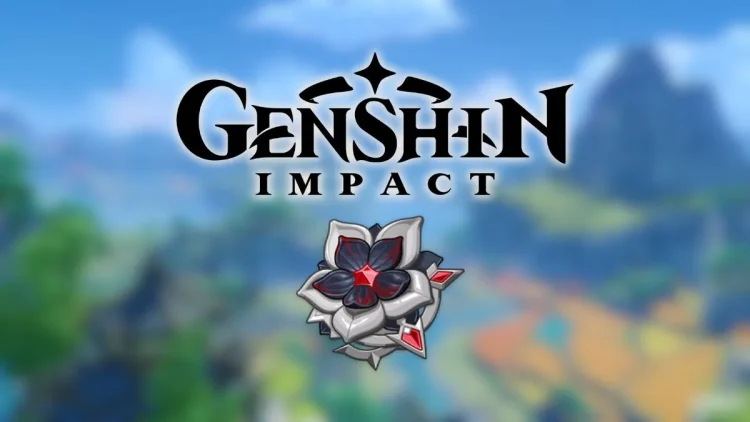 Genshin Impact Serment de Longue Nuit Meilleurs personnages et.webp