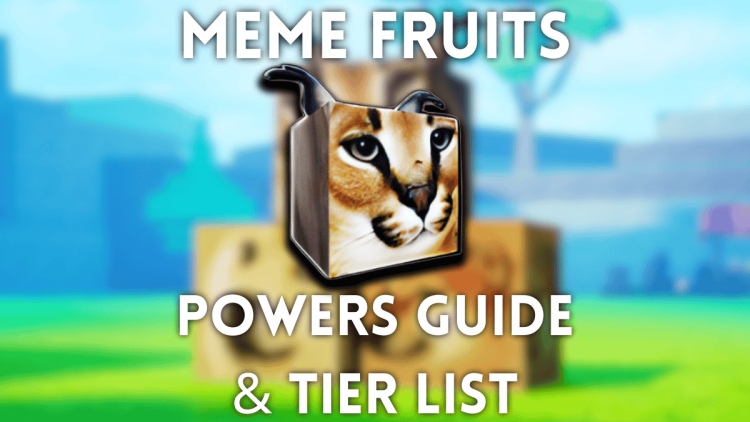 Liste de classement des pouvoirs de fruits de meme ultime