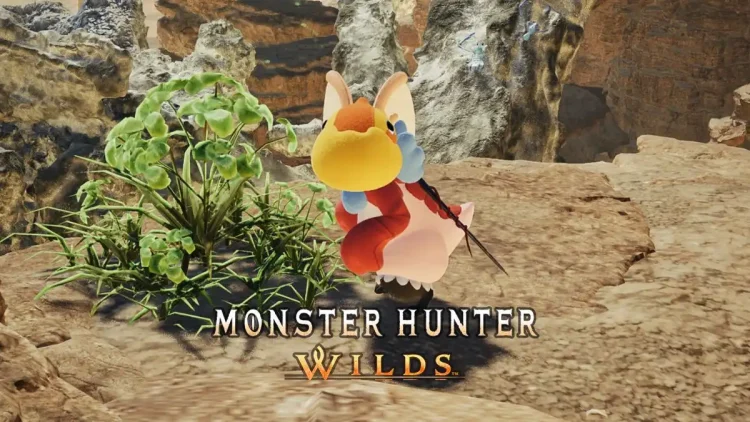 Meilleures armes et armures pour Palico dans Monster Hunter Wilds.webp