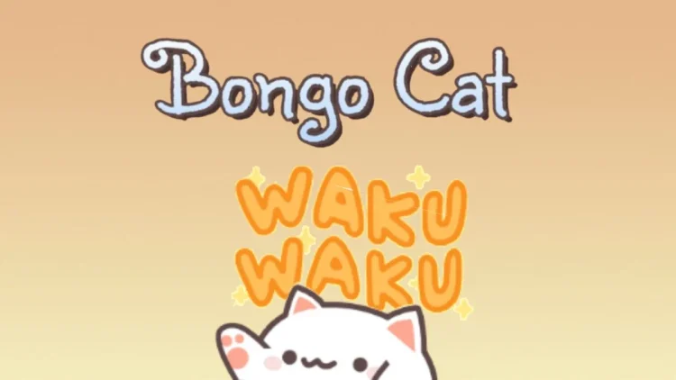 Bongo Cat Comment cet animal de compagnie a repris.webp