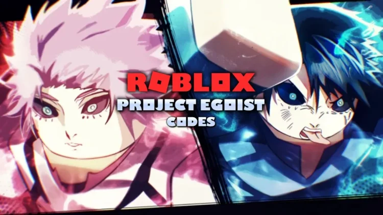 Codes egoistes du projet Roblox mai 2025.webp