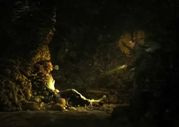 Tlou S2E5 Enfin les spores sont ici rapprochent le.webp