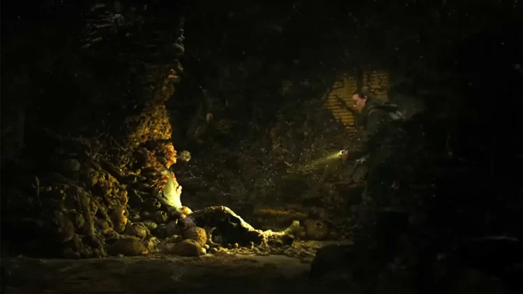 Tlou S2E5 Enfin les spores sont ici rapprochent le.webp